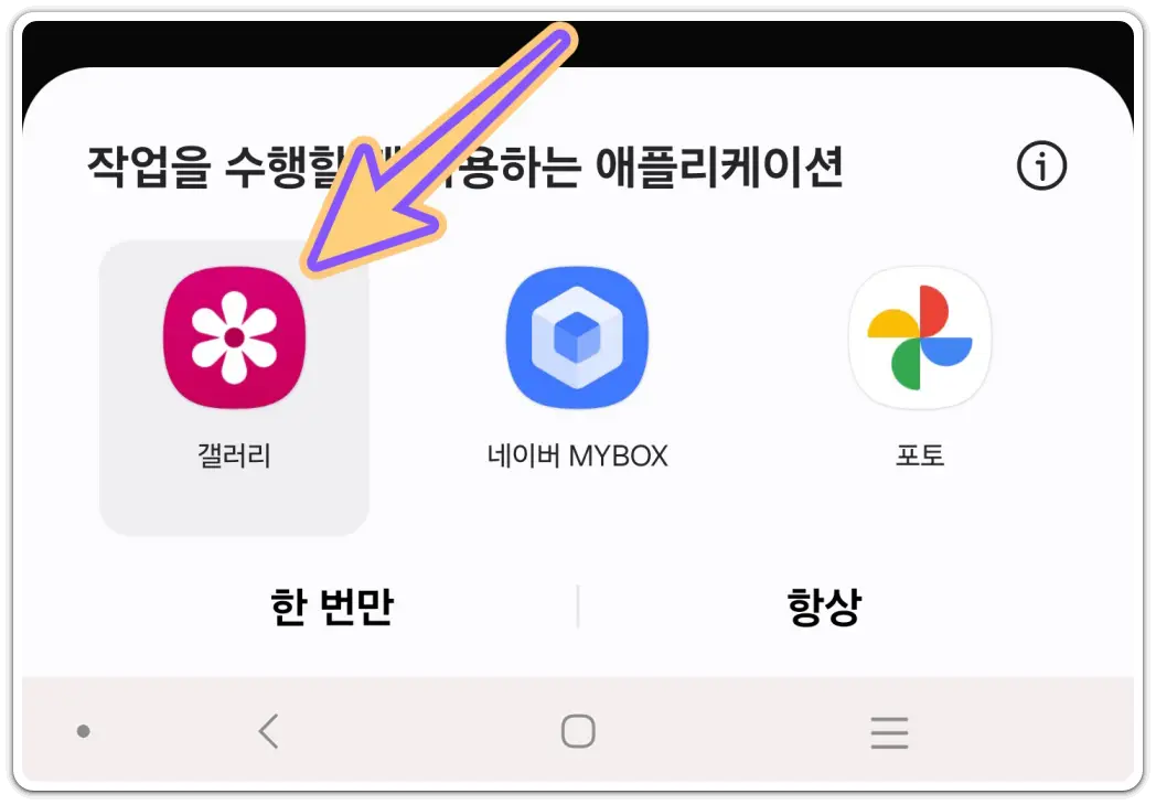 꽃-검색-꽃-사진-이름-검색-방법
