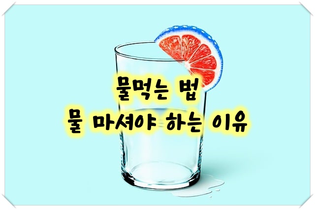 물먹는법,물마셔야하는이유