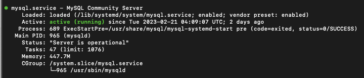 mysql 확인