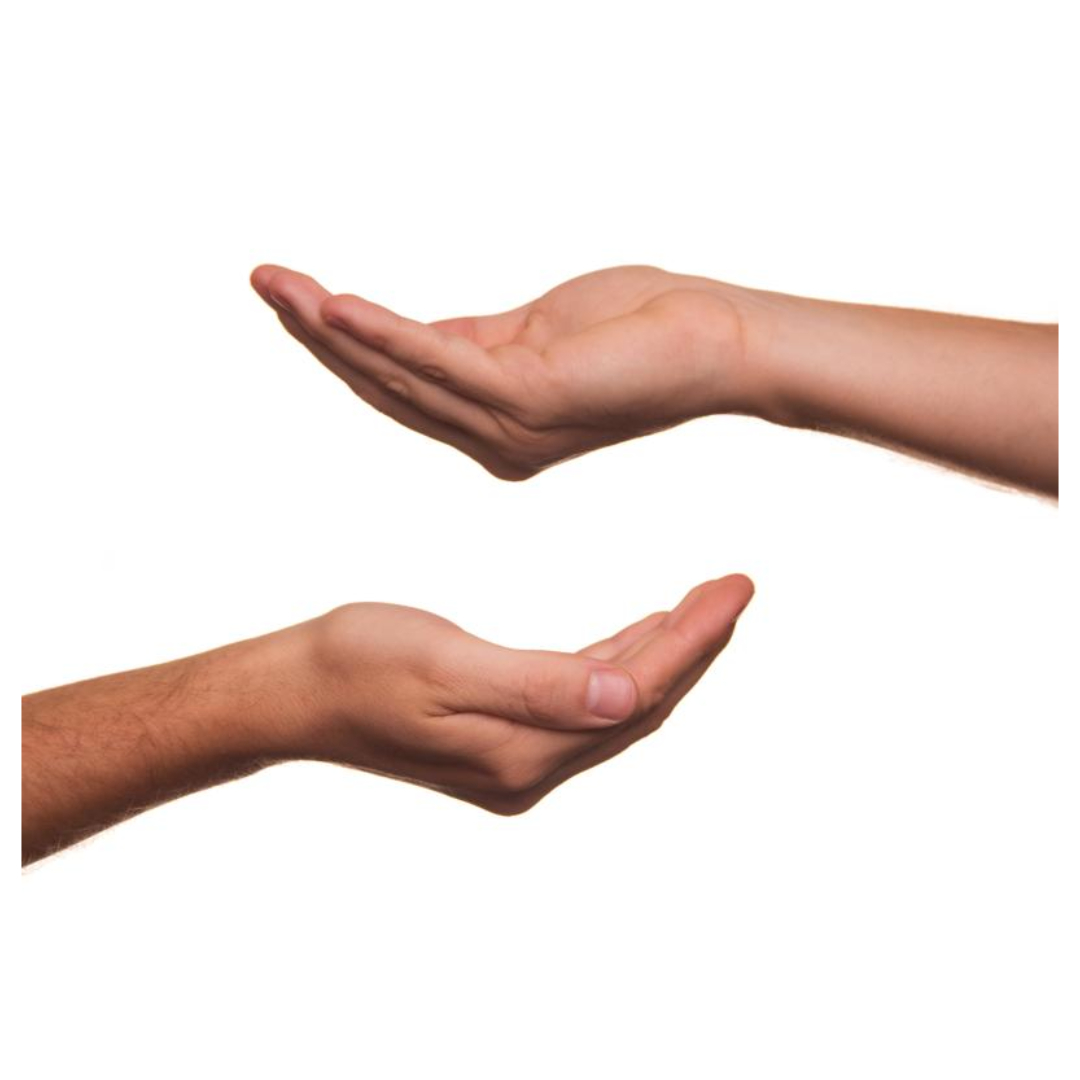 여주와 관련된 사진입니다.