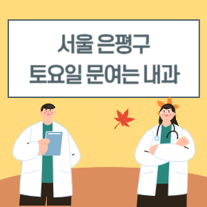 서울 은평구 토요일 문여는 내과 토요일 내과 진료 병원 리스트