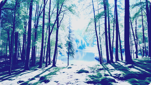 60세 여행자보험