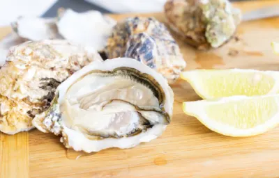 굴 효능과 영양성분&amp;#44; 먹을때 주의점