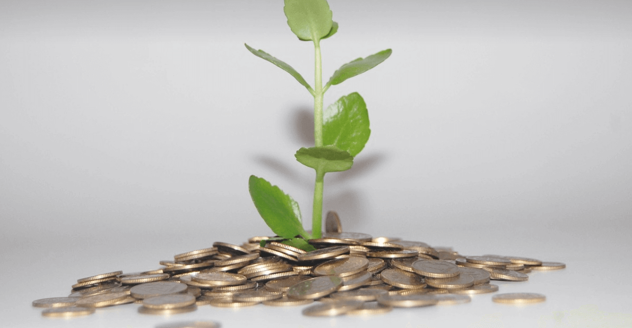 경제 위기에도 흔들이지 않는 재테크 전략