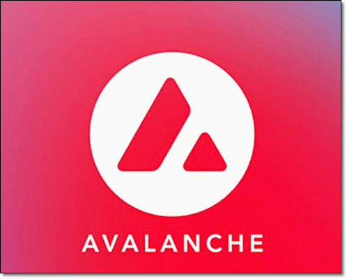 아발란체