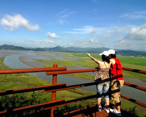 순천만습지 갈대밭