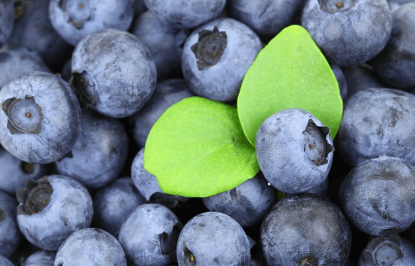 고지혈증에 좋은 음식