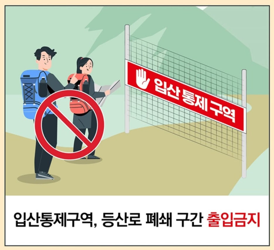 산불 관련 이미지