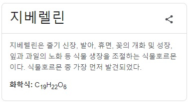 지베렐린 소개