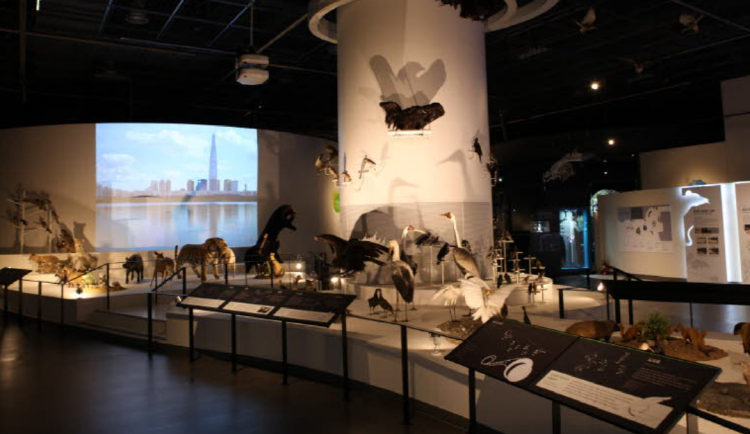 국립과천과학관