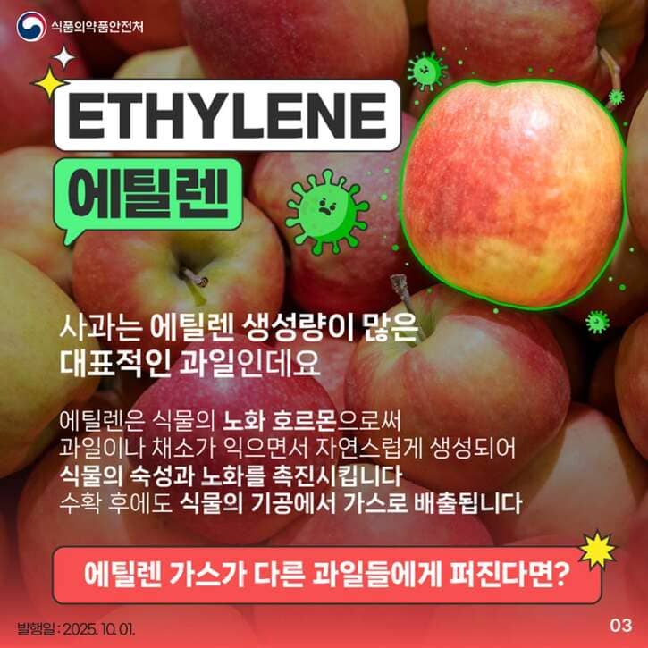 냉장고 사과 보관 꿀팁 ❘ 일주일 더 신선하게 먹는 방법