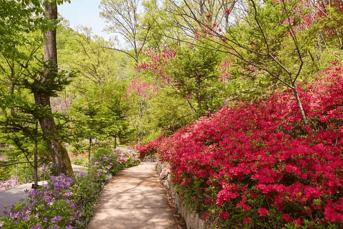 화담숲 예약 취소 방법&amp;#44; 수수료&amp;#44; 환불 가능기간&amp;#44; 모바일 취소&amp;#44; 예약변경