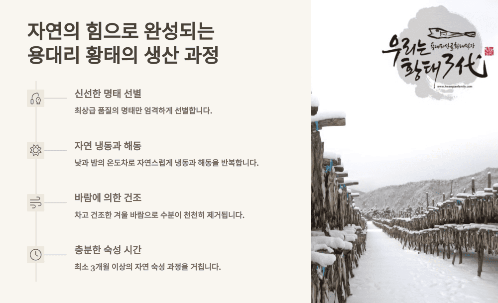 자연의 힘으로 완성되는 용대리 황태의 생산 과정
