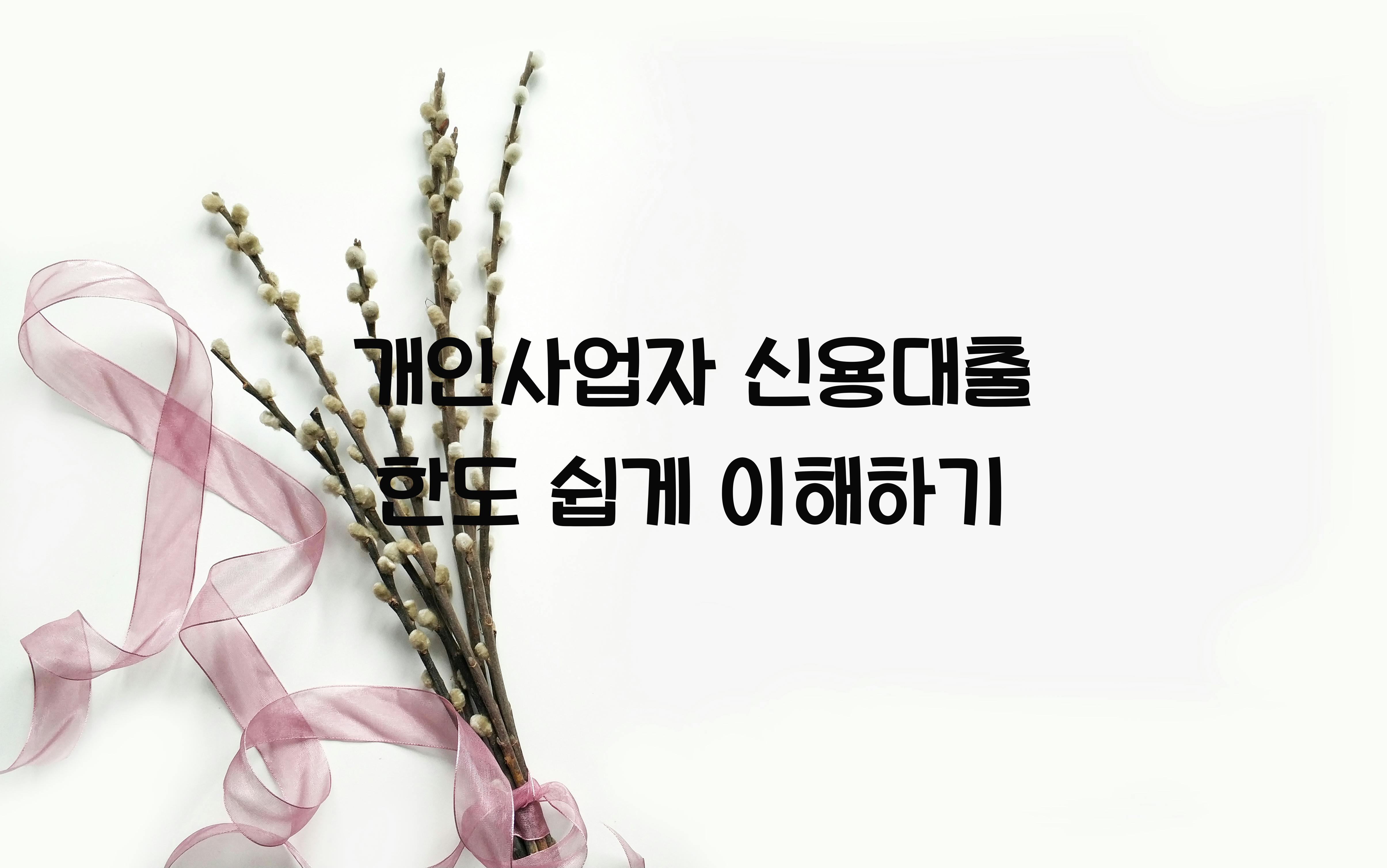 개인사업자 신용대출 한도