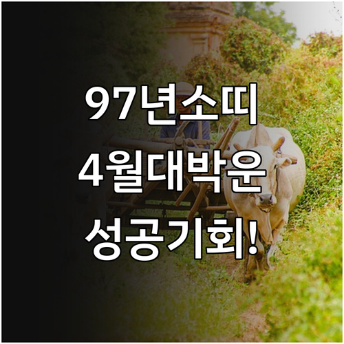 2026년 4월 97년생 소띠 운세 ..