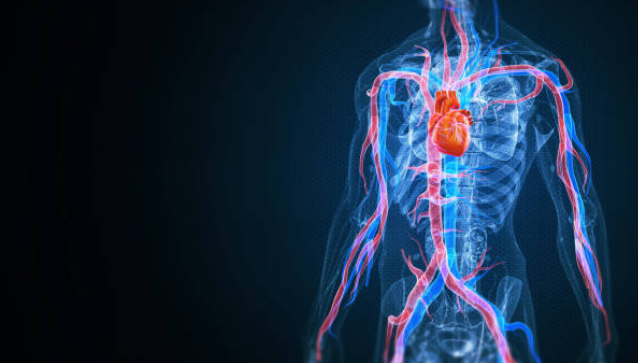 대동맥류의 원인과 증상, 진단, 치료와 예방 방법, 합병증