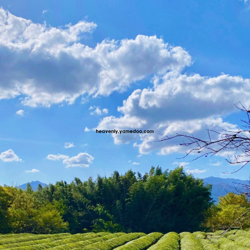 하동 가볼만한곳