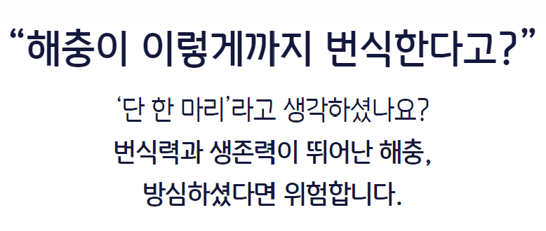 바퀴벌레 퇴치 방법