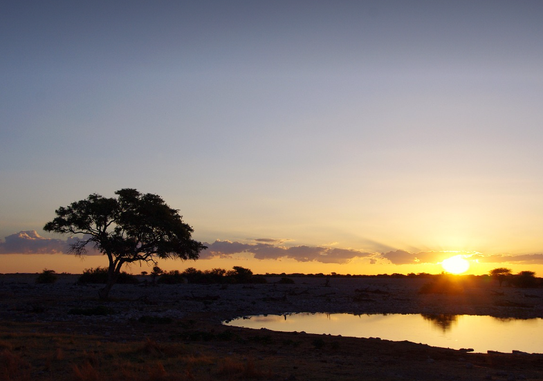 나미비아 일몰-에토샤 국립공원