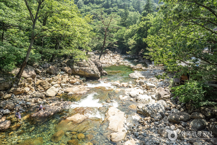 산청 가볼만한곳 베스트10