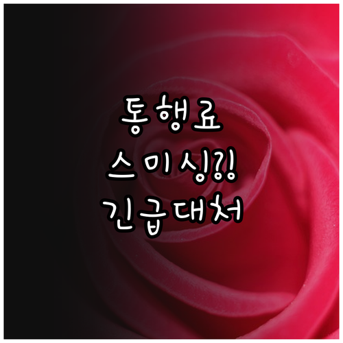 소액 통행료 미끼 스미싱 악성 앱 금..