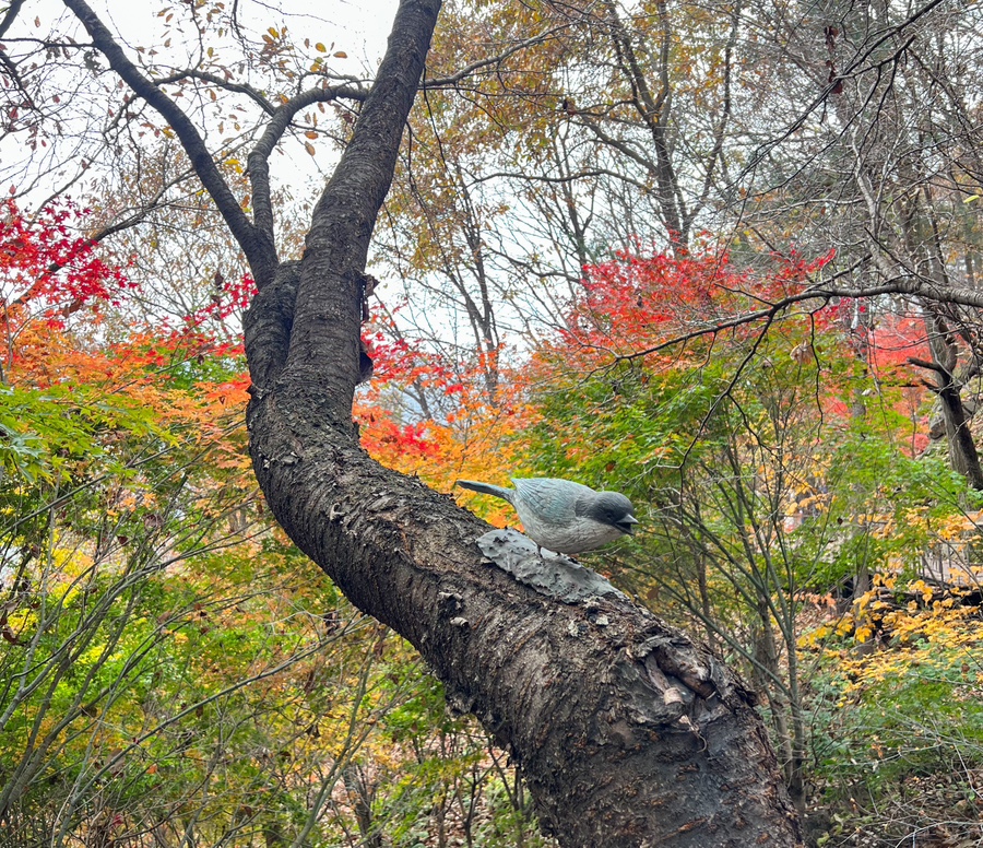 곤지암-화담숲-예약-전쟁-승리-2025년-최신-정보-총정리