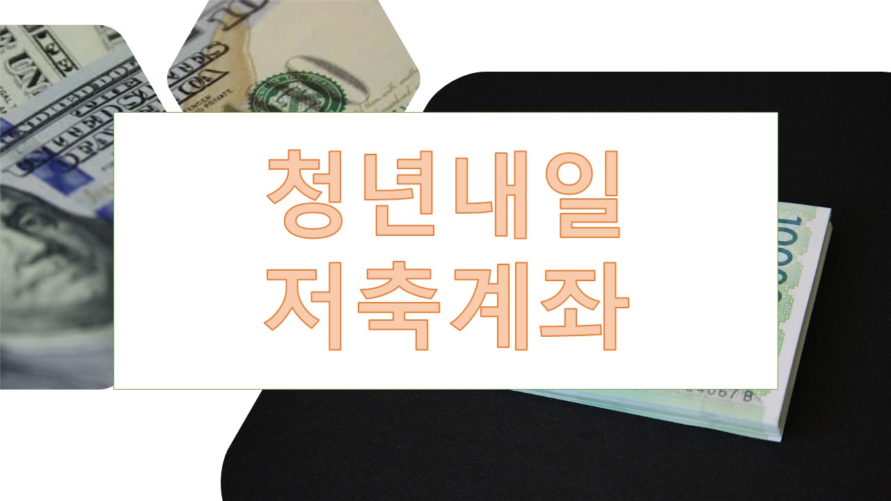 청년내일저축계좌 청년도약계좌 비교분석