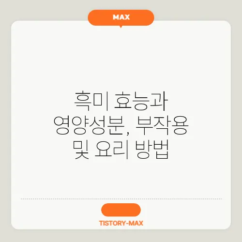 흑미 효능과 영양성분, 부작용 및 요리 방법