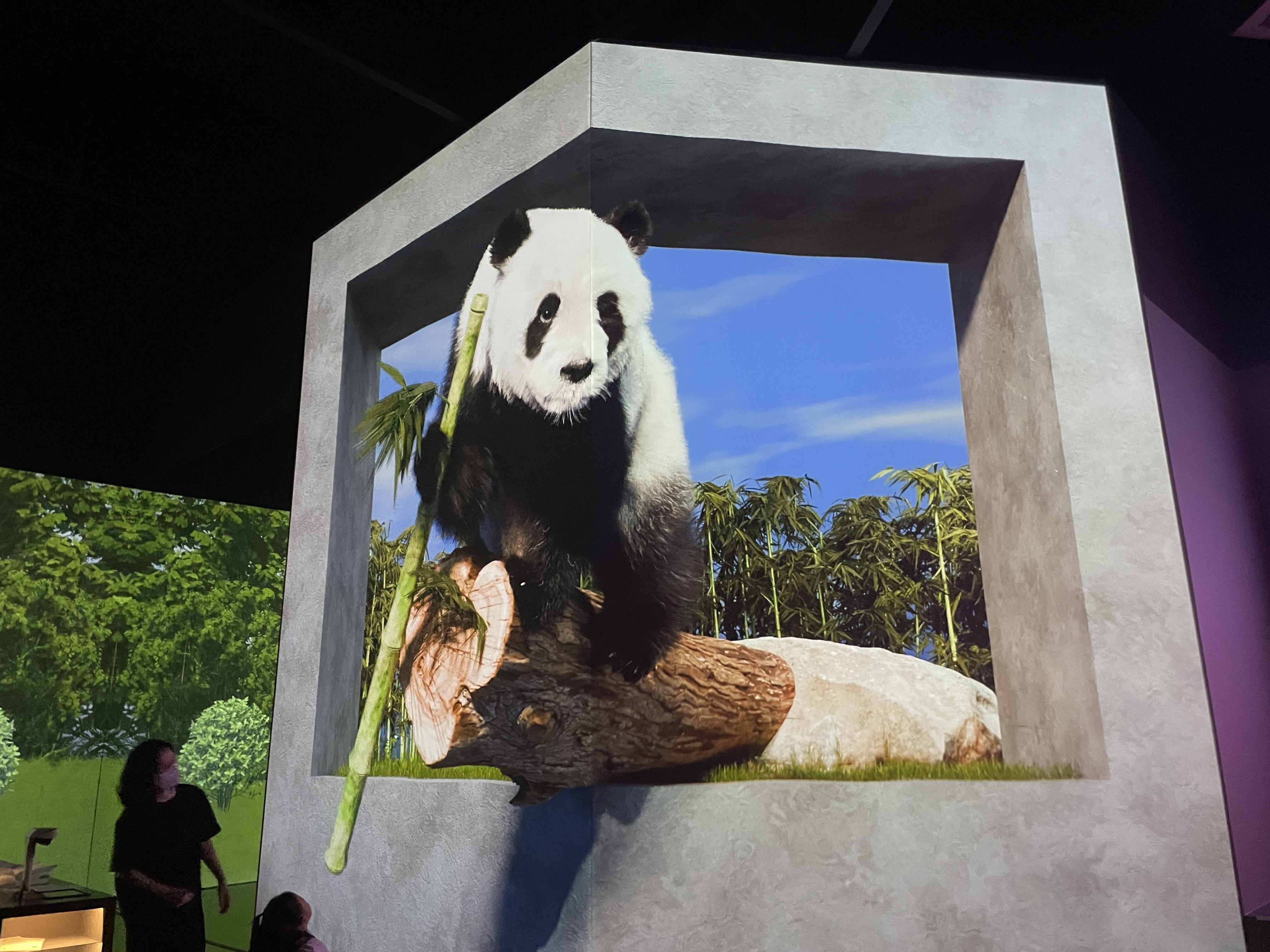 파주 뮤지엄헤이