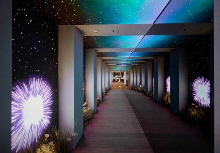 생방송투데이 살아보고서 경동시장 서울약령시장 대도상회 빛한의원 금성전파사 새로고침센터 스타벅스 경동1960점 동경통닭 맛집