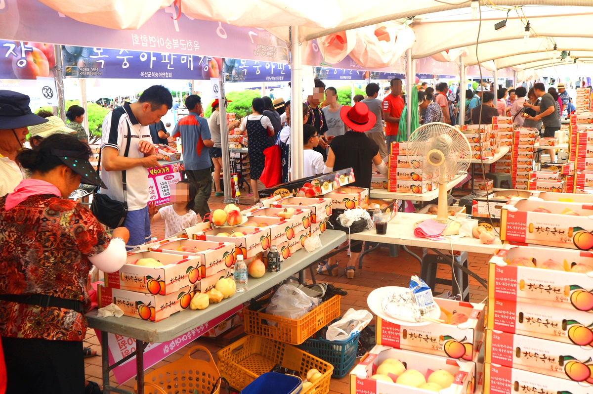 향수 옥천 포도 복숭아축제