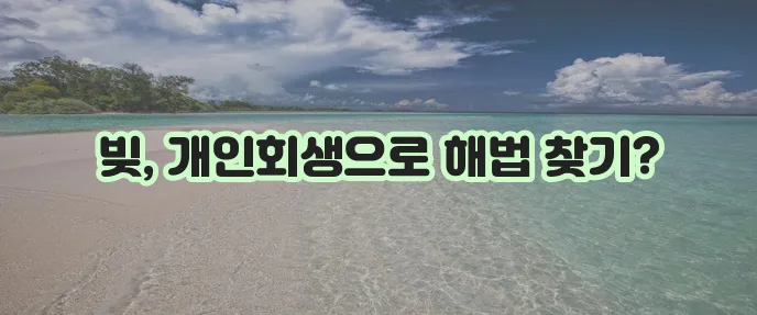 마이너스 통장 신용회복의 길잡이 - 개인회생 활용