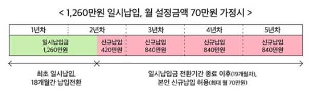 청년도약계좌 일시납입
