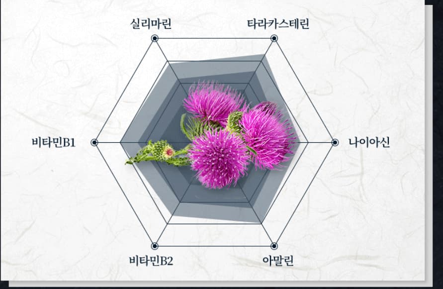 마가보감