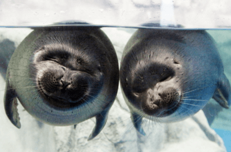 여수 가볼만한곳 베스트10