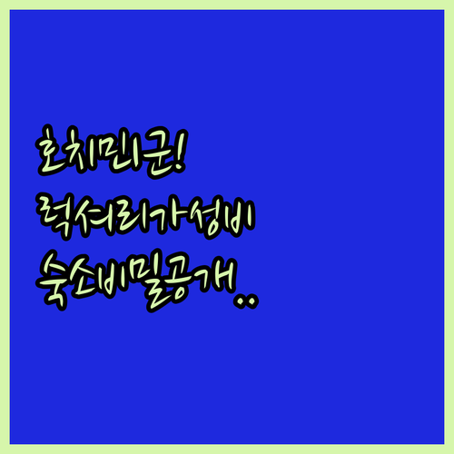 쇼핑 럭셔리 가성비 호치민 1군 숙소..