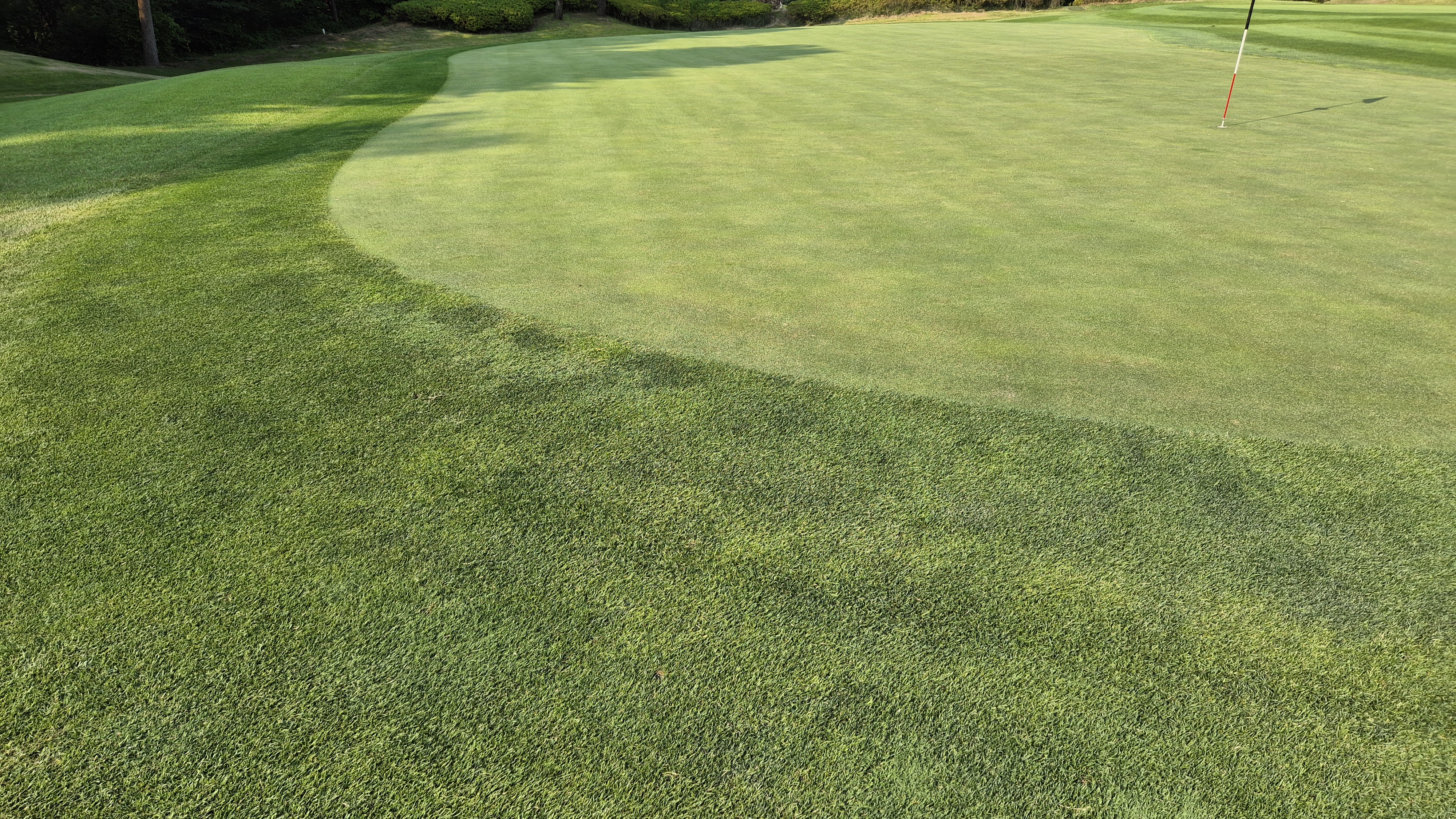 이포cc 라운드 후기