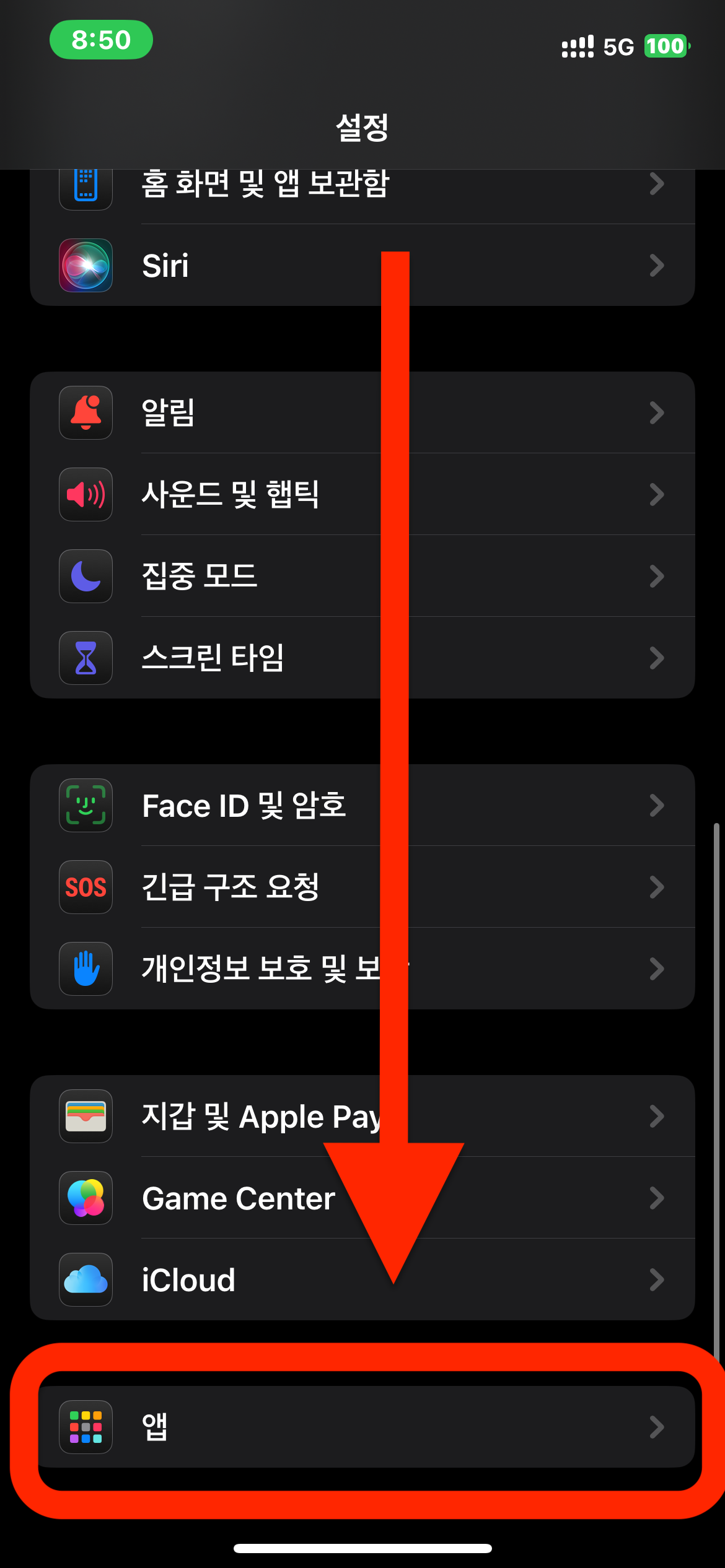 드디어 가능! 아이폰 통화 녹음 기능 설정 및 사용법 총정리 🎙️📱