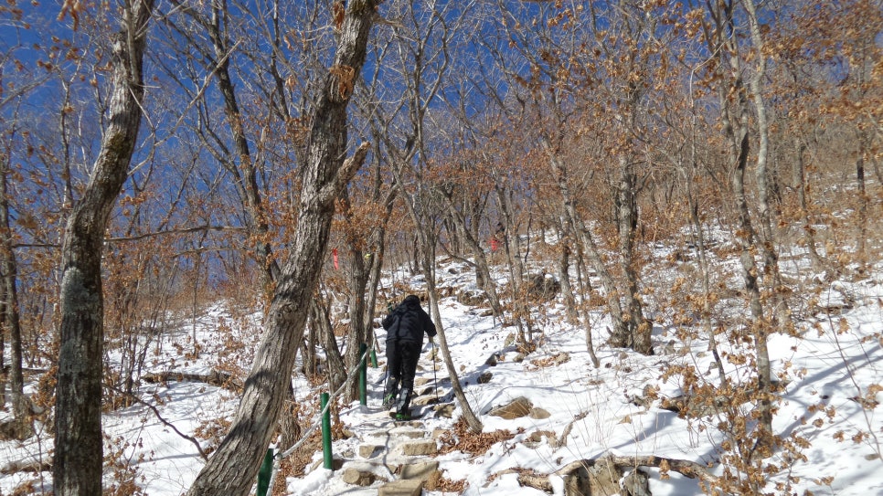 100대 명산 등산하기 아홉번째 영동의 쌍봉 태백산과 함백산
