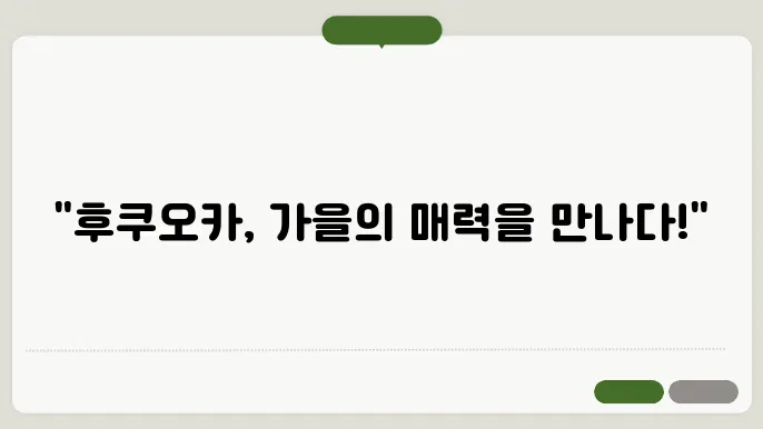 후쿠오카 11월 날씨