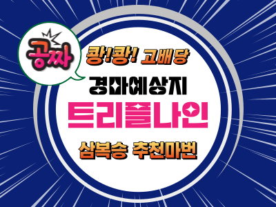 고배당 삼복승 추천마권 트리플나인 무료 경마예상지