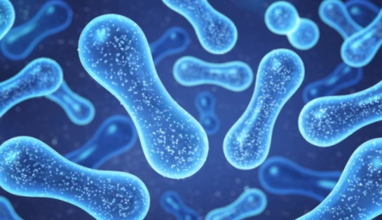 우리가 유산균을 꼭 ! 챙겨 먹어야 하는 이유