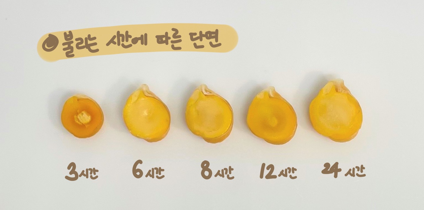 병아리콩