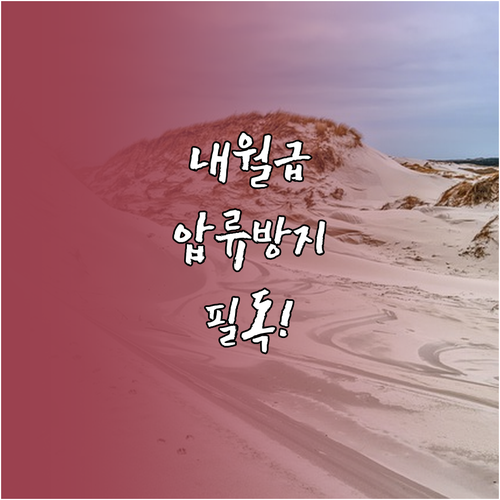 직장인 월급 압류 대응법 및 수급자 ..