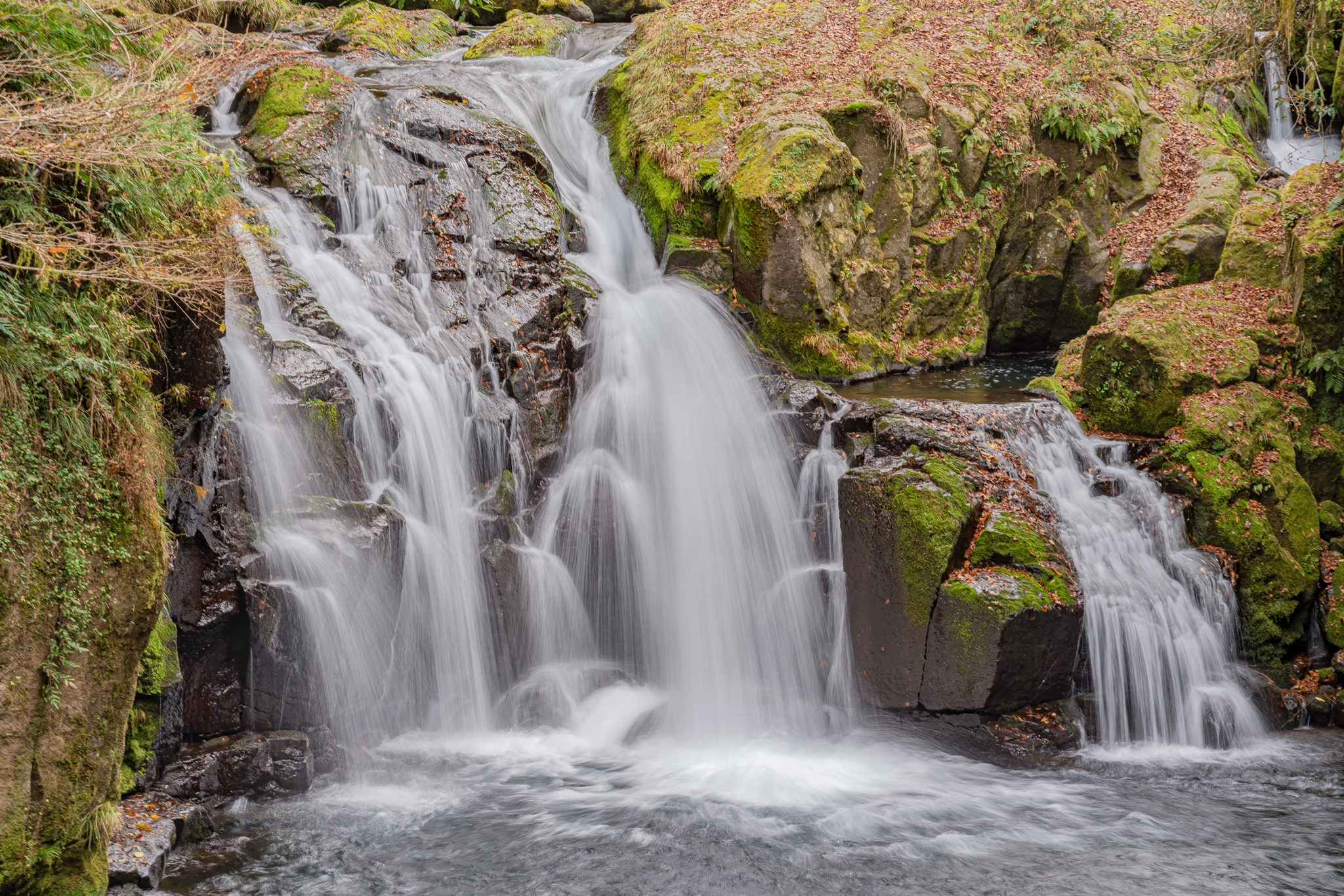 #후쿠오카온천 #일본온천 #규슈온천 #오이타온천 #구마모토온천 #와키타온천 #하라즈루온천 #기쿠치온천 #히라야마온천 #유후인온천 #우레시노온천 #벳푸온천 #유노히라온천 #아마가세온천 #온천료칸 #일본온천여행 #후쿠오카여행 #겨울온천