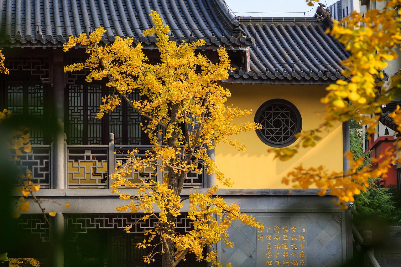 군자삼락(君子三樂) 고사성어 맹자 진심편