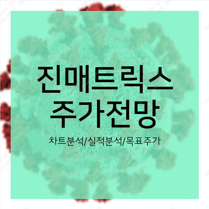 진매트릭스 주가 전망