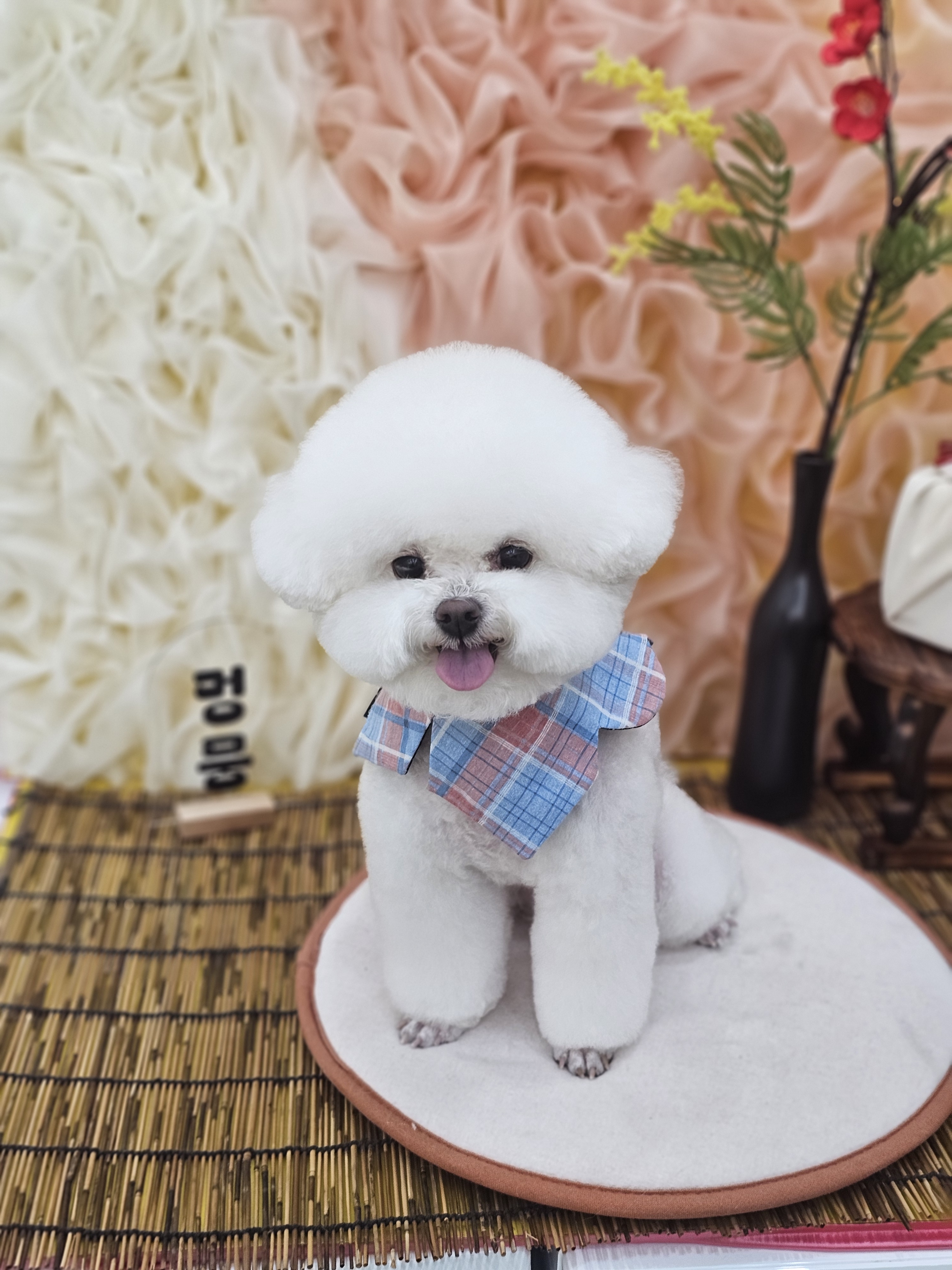 멍뭉