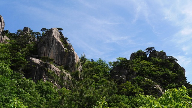 전라남도 추천 여행지