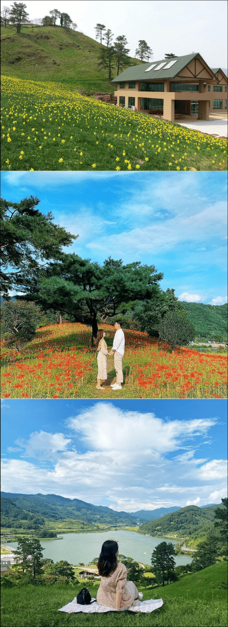 계절별로-다른-지리산-치즈랜드-풍경이-보여지고-있다.